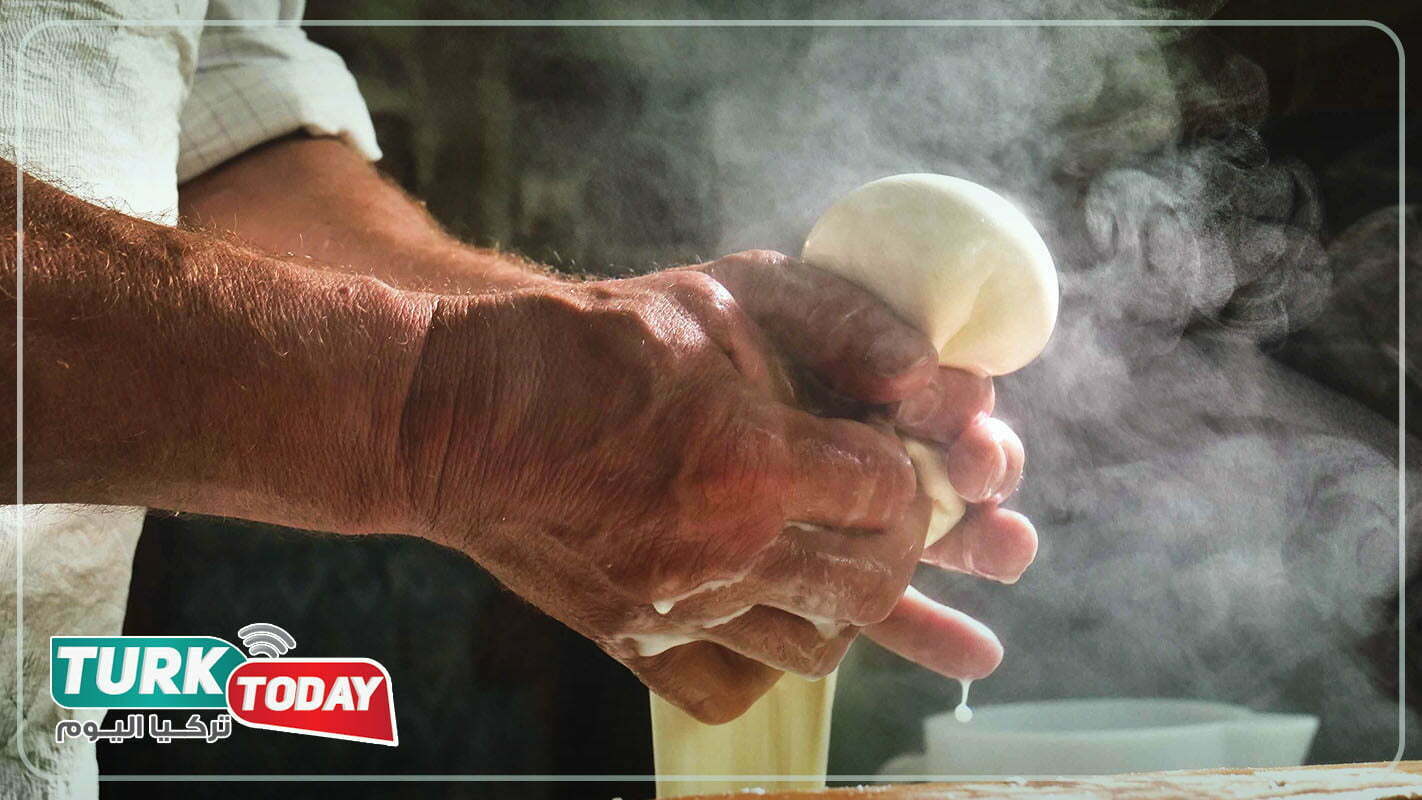 طرق الشراء الصحيحة لجبنة موزاريلا